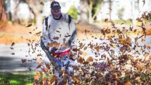 Autumn Weather Hazards for Vehicles