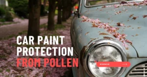 Car Paint Protection from Pollen: How to Prevent Spring Damage thumbnail