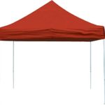 ShelterLogic 10 x 20-Feet Canopy with Roller Bag