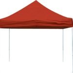 ShelterLogic 10 x 20-Feet Canopy with Roller Bag