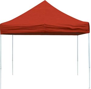 ShelterLogic 10 x 20-Feet Canopy with Roller Bag Product Image